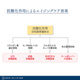 SPA OLIVIER <スパオリヴィエ>　ビタミンC原液美容液