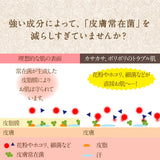 定期便・てんまんボディローション 150mL 【ずっと10％OFF】日本食コスメ 無添加